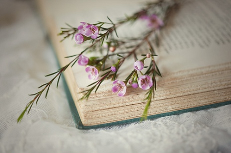 beautiful-book-cute-flower-Favim.com-489337